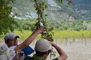 地狱是由善意构成的,探讨人性与道德的边界
