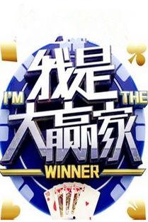 大赢家,揭秘商业奇迹背后的策略与智慧